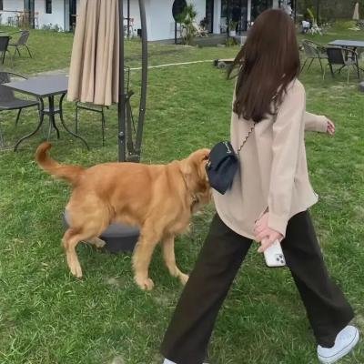 皮肤海报