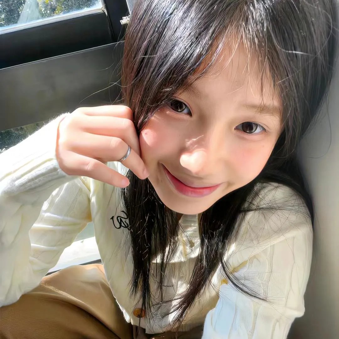 总统的夫人海报